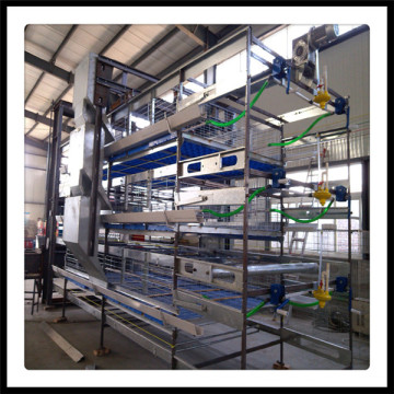 H Type Broiler Poultry Cage Equipamiento